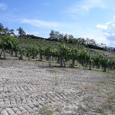 Il Biancospino Bed&wine *