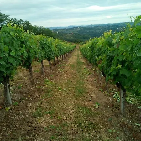 Il Biancospino Bed & Wine Appartement